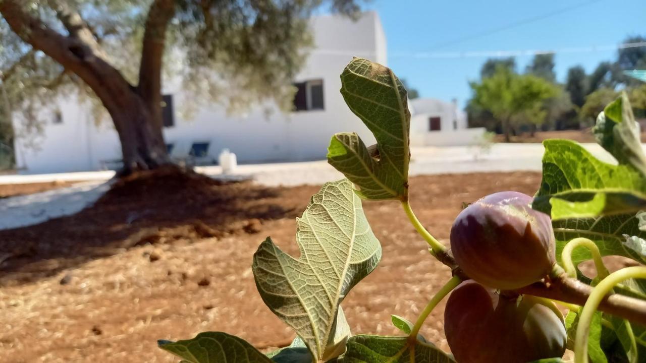 Trullo Il Noce..Holiday Home San Vito dei Normanni Zewnętrze zdjęcie